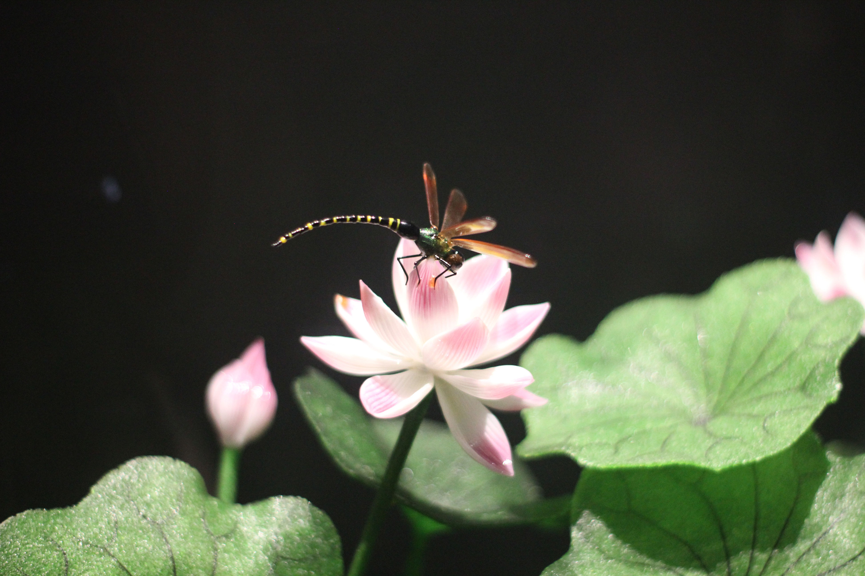 永利集团·yl(中国游)官方网站