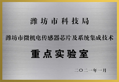 永利集团电子获批潍坊市重点实验室声誉